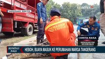 Damkar Tergigit saat Evakuasi Ular Sanca yang Resahkan Warga