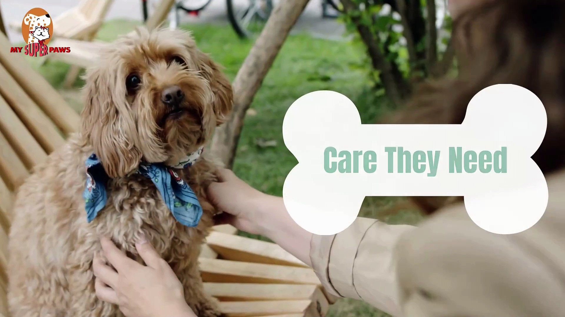 ⁣My Super Paws Natural Cotton Rope Toys for Playful Pet Dogs