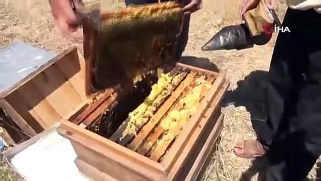 Gerçek balın maliyeti 200 TL, 300 TL altında satılıyorsa dikkat