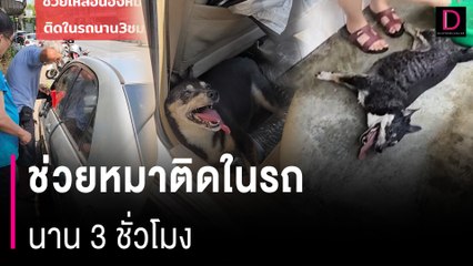 ลิ้นห้อยแล้ว!! พี่ๆใจดีช่วยน้องหมาติดในรถนาน 3 ชั่วโมง | HOTSHOT เดลินิวส์ 11/05/67