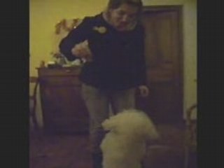 titus le chien