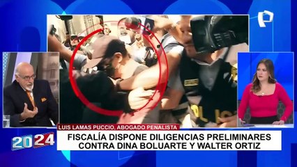 Lamas Puccio: "Si Nicanor hizo lo que hizo, no lo podía haber hecho sin el respaldo de su hermana"