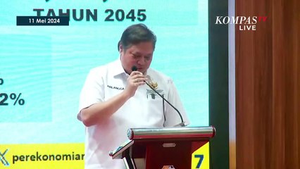 Menko Perekonomian Airlangga Ungkap Nikel dan Sawit Indonesia Masih Berkasus dengan Eropa