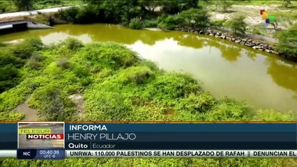 Pobladores de Olón, se oponen a tala de manglares para proyecto inmobiliario