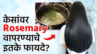 Rosemary  वापरा...मजबूत आणि लांब केस मिळवा | Rosemary Oil For Hair Growth | Hair Growing Tips