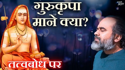 गुरुकृपा माने क्या? अनुभवों का जीवन में कितना महत्व? || आचार्य प्रशांत, तत्वबोध पर (2019)
