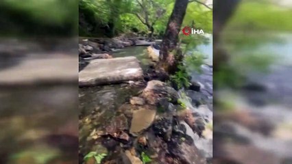 Munzur Vadisi'nde yanına gelen sincabı elleriyle besledi