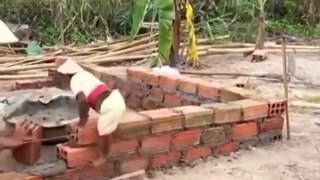 Maymunlar inşaat sektöründe