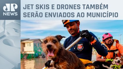 Prefeitura de SP monta hospital veterinário em Canoas, no RS