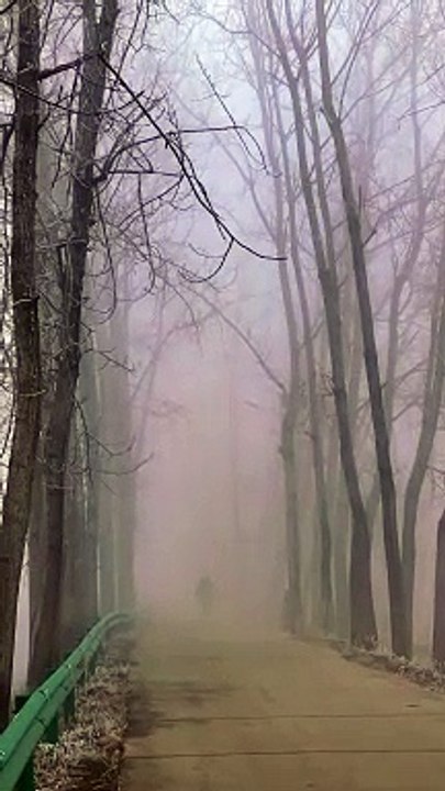 People who are alone and enjoy natural beauty
