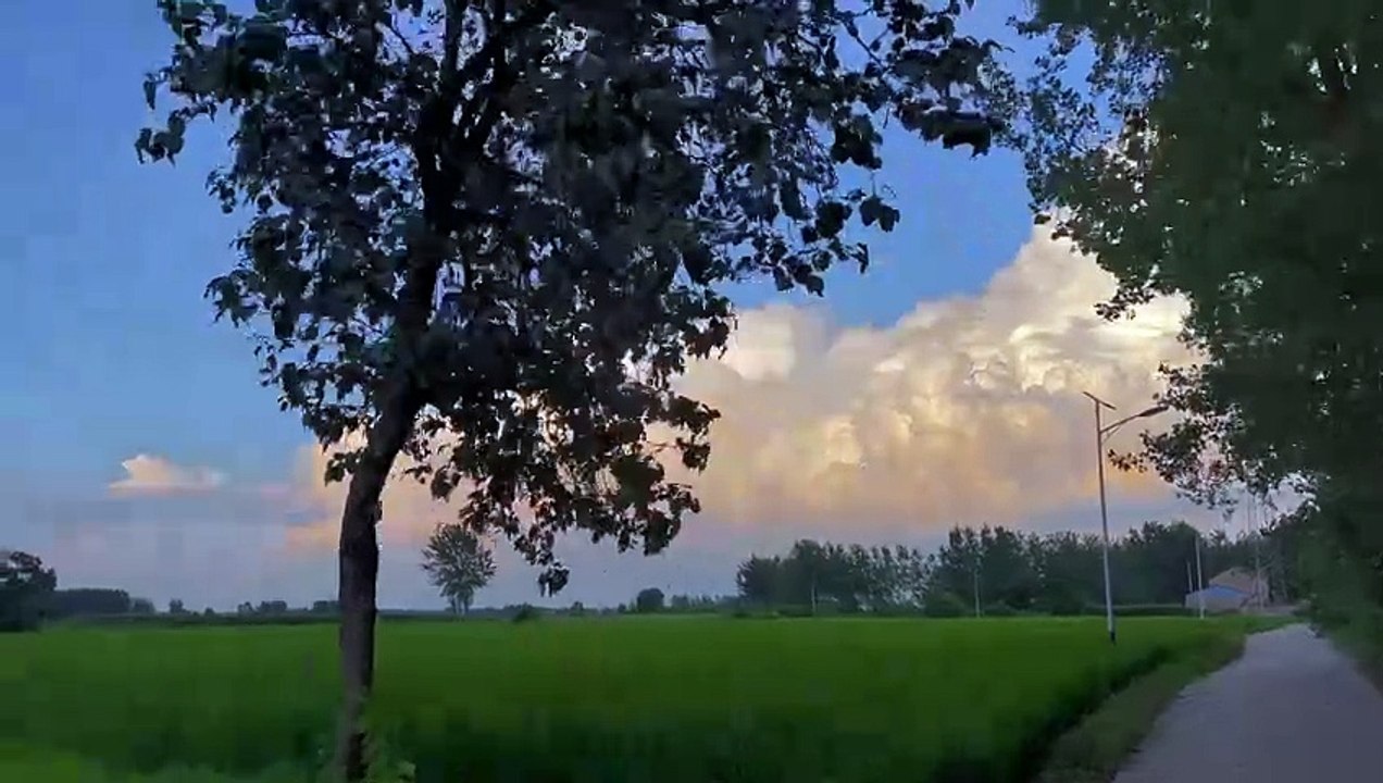 Let's enjoy the freedom of summer natural beauty