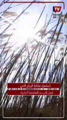 متى تتحسن حالة الطقس وتنتهي العاصفة الترابية؟.. الأرصاد الجوية تجيب (تفاصيل)