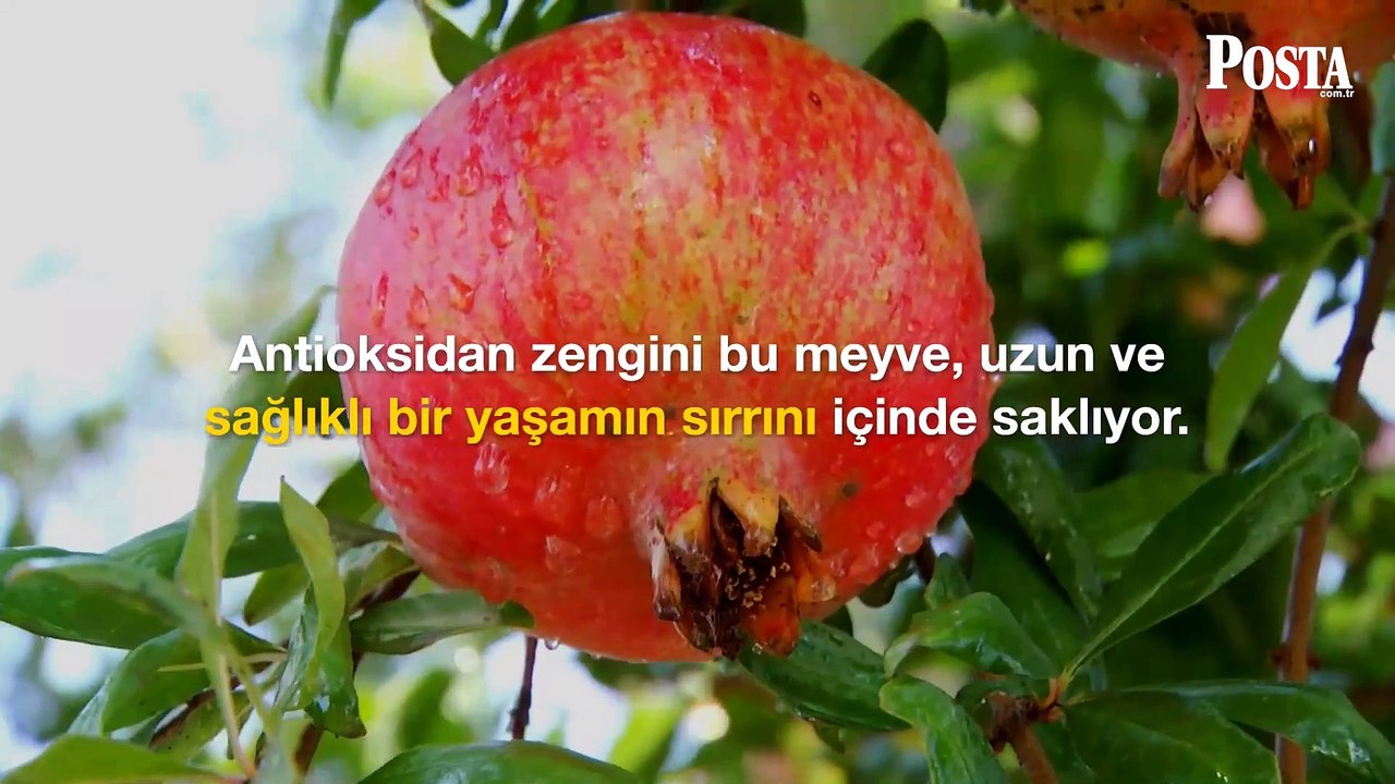 Pazarda, tezgahta kapış kapış satılıyor! Kuran-ı Kerim'de adı 3 kez geçen bu meyve resmen şifa deposu