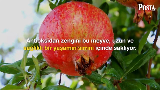 Pazarda, tezgahta kapış kapış satılıyor! Kuran-ı Kerim'de adı 3 kez geçen bu meyve resmen şifa deposu
