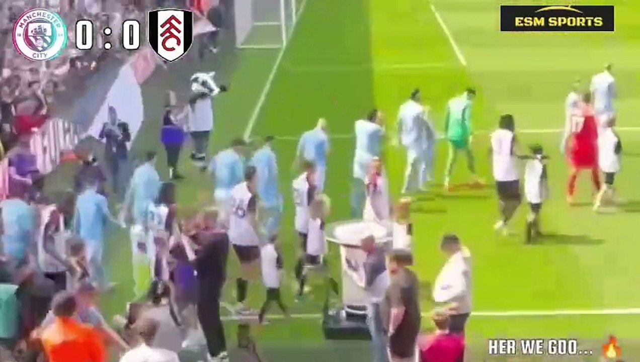 Manchester city vs Fulham 4-0 Full Match Highlights 2024