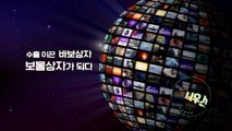 [좋은·나쁜·이상한 늬우스] 바보상자의 진화 / YTN