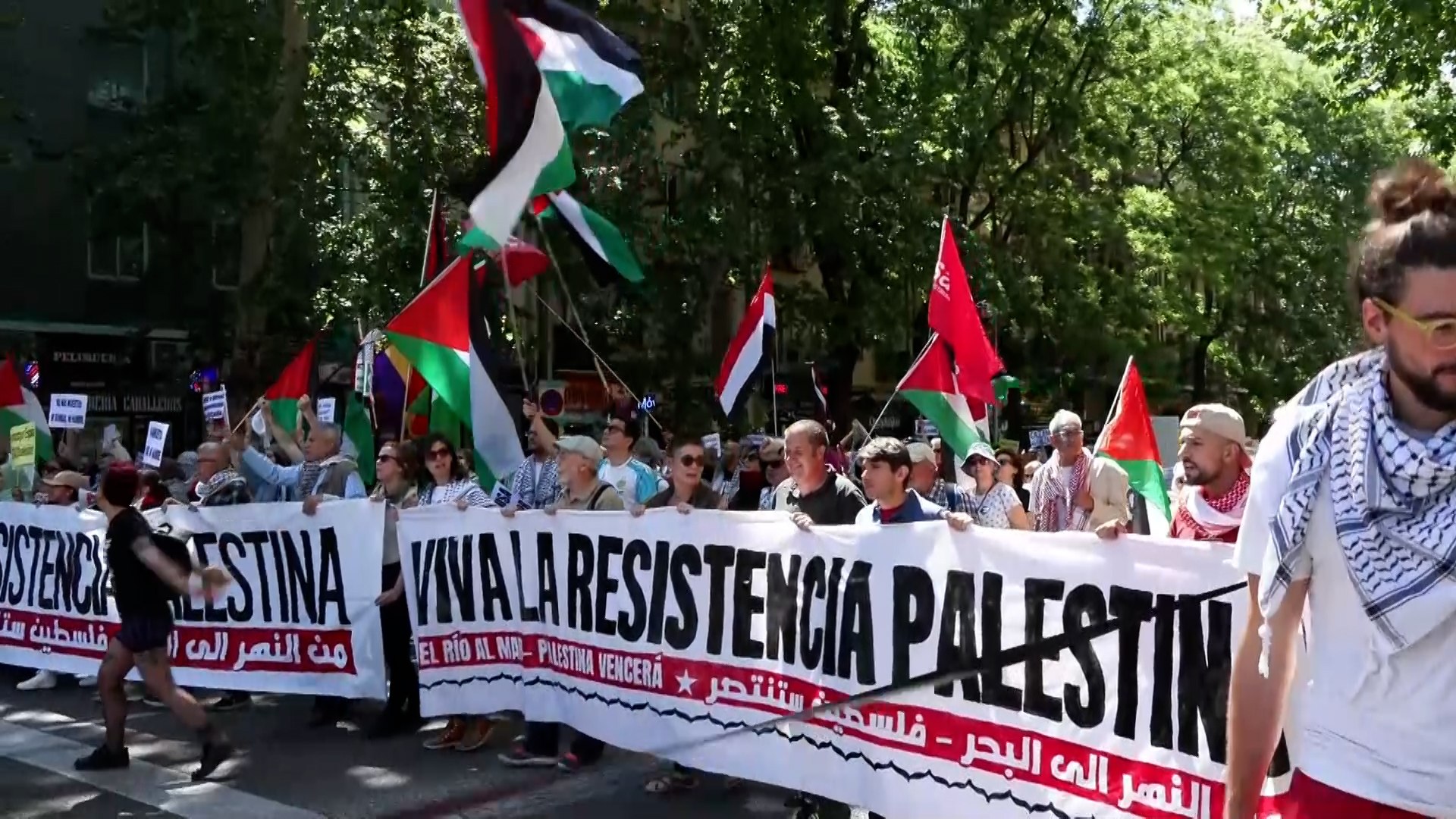 Manifestacin en Madrid a favor de Palestina