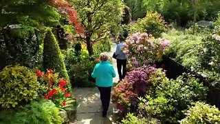 Stunning suburban garden springs into life