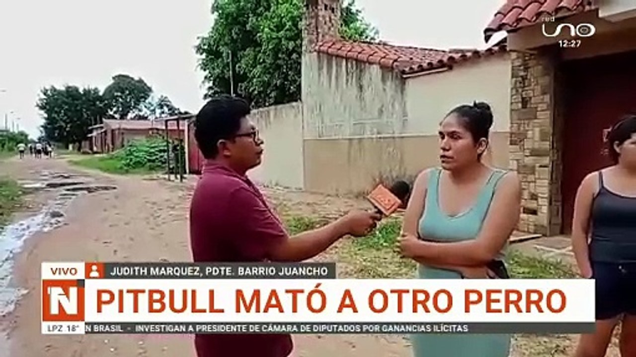 Pitbul mato a otro perro