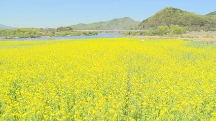 충북 목계권역에서 자연과 역사를 만끽하세요 🌿