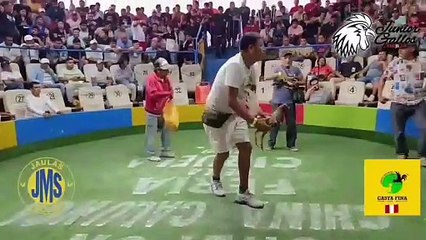 Pelea de un Moro Zayas contra Dorado de Mache