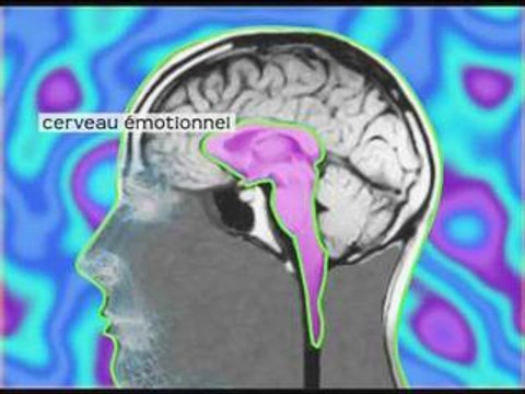 David Servan-Schreiber - Le cerveau emotionnel