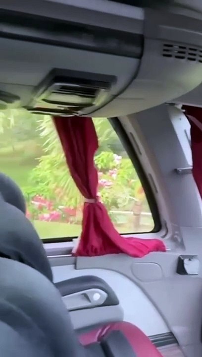 Primeiras imagens de novo ônibus do Vitória são divulgadas; confira