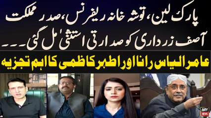 President Zardari gets immunity in Park Lane, Toshakhana references | Experts Analysis