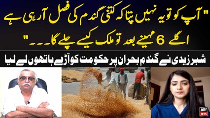 Pakistan's wheat crisis: Shabbar Zaidi criticizes the government