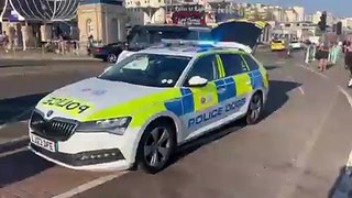 Brighton Pier incident: Armed officers and police dogs at scene