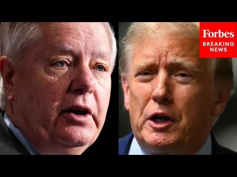 'If President Trump Wins...': Lindsey Graham Predicts How Trump Will Respond To Migrant Crisis
