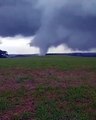 Tornado atinge zona rural do Rio Grande do Sul e derruba árvores neste sábado