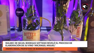 Malbec de Selva Bodegas Sottano reveló el proceso de elaboración de su vino “Arcángel Miguel”