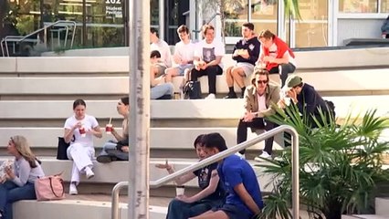 Government Plans to Limit International Student Intake Amid Crackdown on Unregulated Agents 🎓