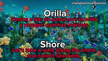 Aprende Inglés En VRCHAT #2: La Playa