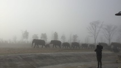 Expédition Pairi Daiza