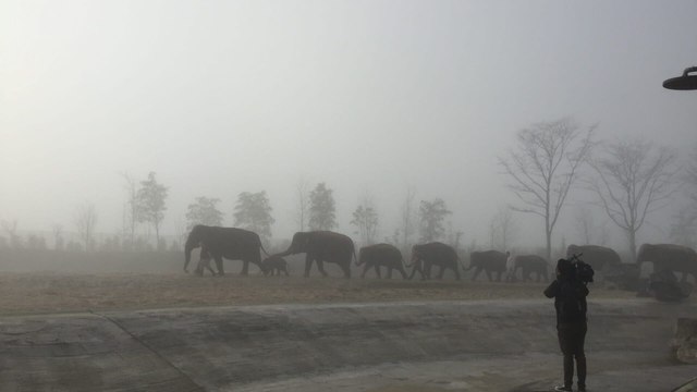 Expédition Pairi Daiza