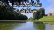 Surah At-Tur Recitation by 786 cuisine | سورة الطور | Surah Toor With Arabic Text