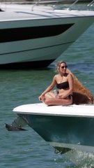 0 Dog on bow at the Haulover Sandbar in Miami, Florida