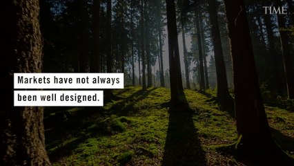 Discover How Carbon Markets Are Transforming Communities in Guyana 🌱