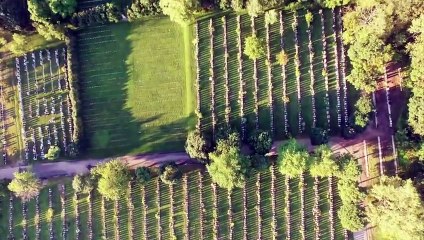 CANADA Drone View & Winter In Canada