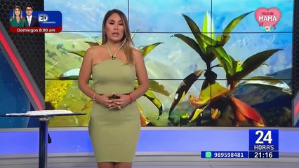 Andahuaylas: rescatan a cuatro turistas extranjeros y un peruano perdidos en Oronccoy