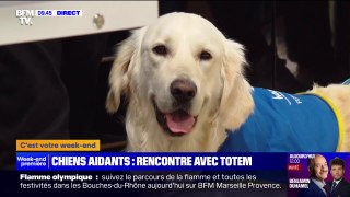 Rencontre avec Totem, un chien d'assistance qui s'entraîne pour venir en aide à une personne en situation de handicap