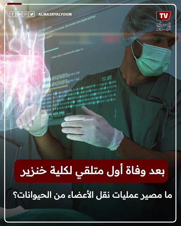 بعد وفـ ــاة أول متلقي لكلية خنزير.. ما مصير عم...