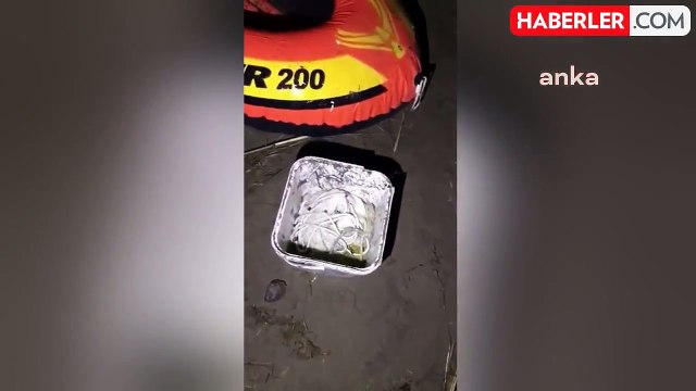 Van'da Kaçak Avlanan İnci Kefali Ele Geçirildi