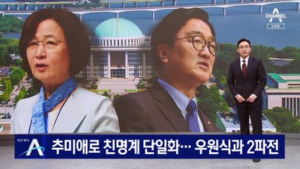 추미애로 친명계 국회의장 후보 단일화…우원식과 2파전