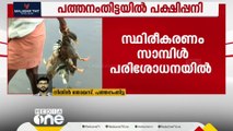 പത്തനംതിട്ടയിൽ പക്ഷിപ്പനി; രോഗം സർക്കാർ താറാവ് വളർത്തൽ കേന്ദ്രത്തിൽ