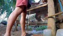 Deworming 2