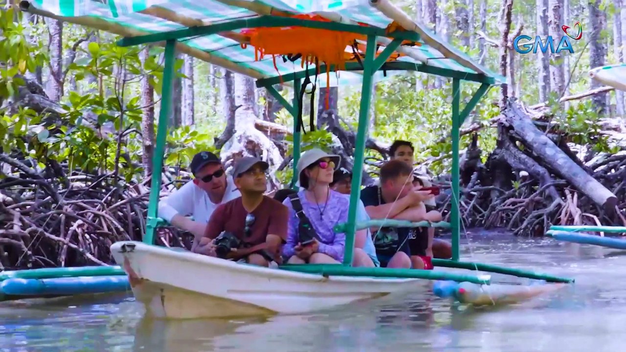 Mga bayawak sa Sabang, Palawan, nagsilbing tagapagbantay ng isla! | Born to be Wild