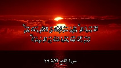سورة الفتح بصوت الشيخ ياسر الدوسري الآية ٢٩